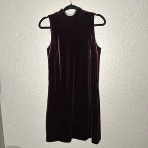 Ann Taylor Factory, Deep Plum Crushed Velvet Dress Petite(small)
